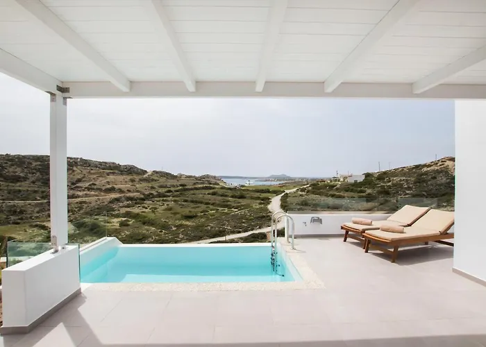 Theros Luxury Villas Апарт-отель Damatria